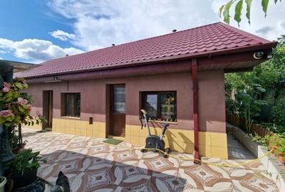 Casă de vânzare Aroneanu priveliște lac - 7