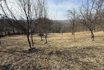 Teren Construcții intravilan de 2788 mp, în Central - 7