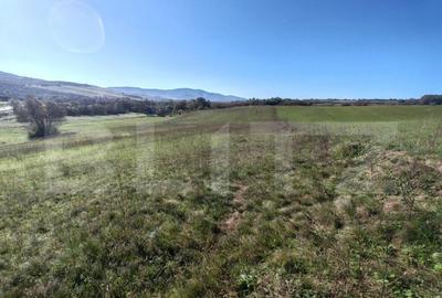 Teren intravilan de vanzare - 2