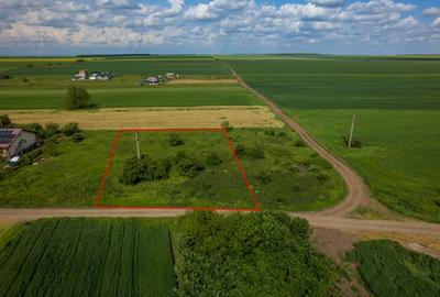 FRUMUSANI - POSTAVARI, TEREN 1500 MP, FRONT 30 M ! - 7