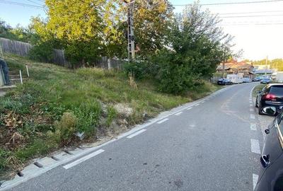 Spațiu comercial, în Mioriței - 1