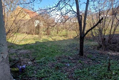 Casă cu 3 camere cu Teren 60 Mp în Central - 2