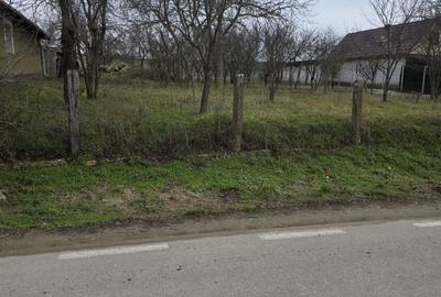 Casă cu 2 camere în Păușa - 6