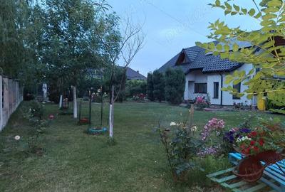 Casa-Simnicu de Sus, Dolj - 3