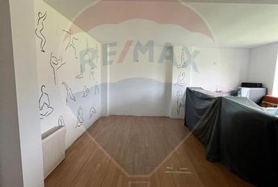 Pensiune/Casa cu 18 camere de vanzare in Campulung Moldovenesc - 8