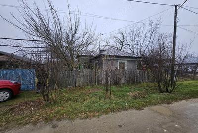 Gospodarie cu 2 case Comuna Trivale Mosteni, sat , la 30 km de Alexandria, jude?ul Teleorman - 1