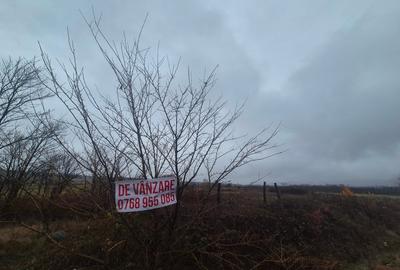 TEREN EXTRAVILAN CRASNA - 1