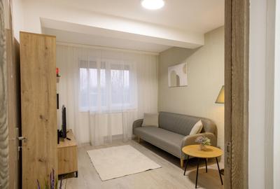 Apartament cu 2 camere decomandat, mobilat în Nufărul - 3