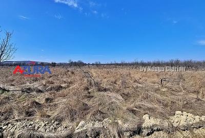 AZURA IMobiliare - Teren Iefin Bascov 3km de Giratoriu - 7
