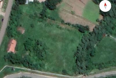 Spațiu comercial, în Murani - 1