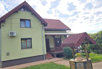 Casă cu 5 camere cu Canalizare în Viile Noi - 1