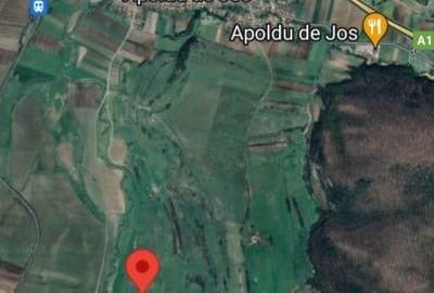 Teren extravilan de vanzare langa autostrada A1, 35km de Sibiu, Gaminvest,A1498B - 2