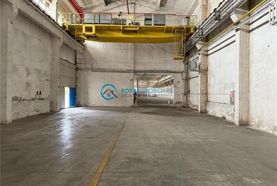 Royal Imobiliare - Inchiriere spatiu industrial zona Vest - 4