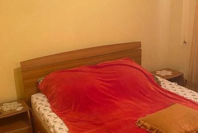 Apartament cu 2 camere semidecomandat în Prundu - 3
