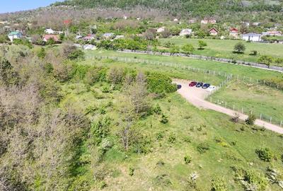 Teren de Vanzare – 850 mp | Petrarie – Burnova | Zona Verde, Investitie - 8