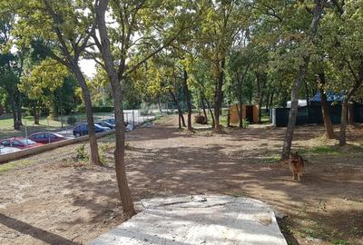 Teren Construcții intravilan de 950 mp, în Central - 1