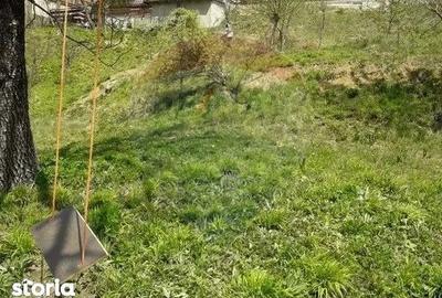 Teren de 561 mp, în Turcheș - 2