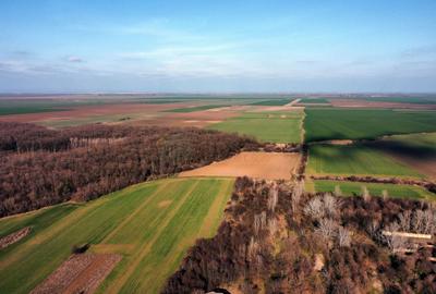 Teren Construcții intravilan de 70291 mp, în Micșunești-Moară - 26