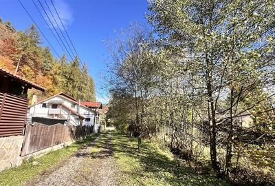 Teren Construcții intravilan de 4000 mp, în Brădet - 8