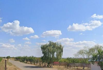 Spațiu comercial, în Tohani