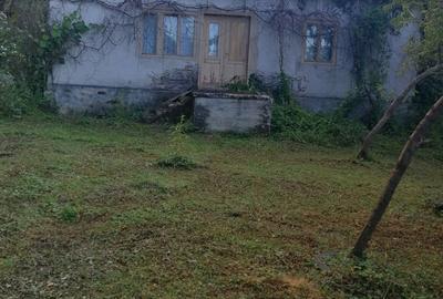 Casă cu 5 camere cu Teren 3 Mp în Hălmagiu - 1