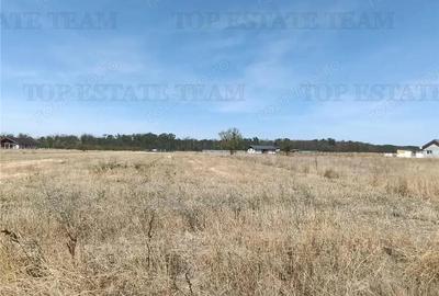 Teren intravila de vanzare Pruni Magurele - 4