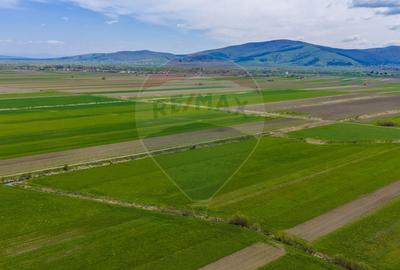 Teren agricol extravilan de 4000 mp, în Stupinii Prejmerului - 11