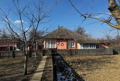 Casă cu 2 camere cu Teren 1300 Mp în Hermeziu - 5