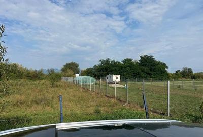 Teren de 1600 mp, în Hălchiu