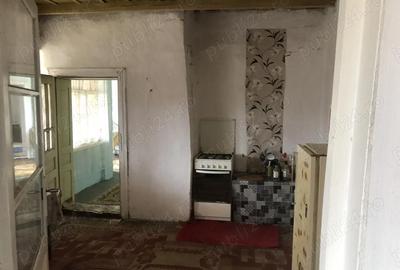 Casă cu 6 camere în Macea - 2