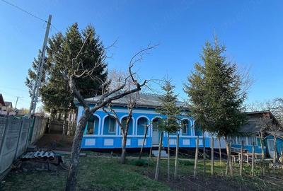 Casă cu Teren 2700 Mp în Iazu Nou - 2