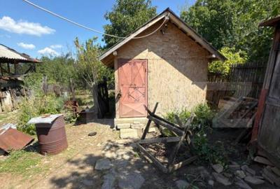 Casa cu teren 1000 m Drajna - 21