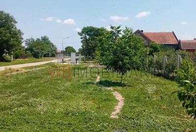 Teren de 16000 mp, în Belinț - 7