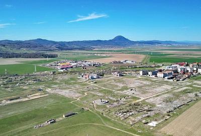 Teren intravilan industrial - 30