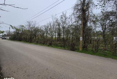 Spațiu comercial, în Balotești - 5