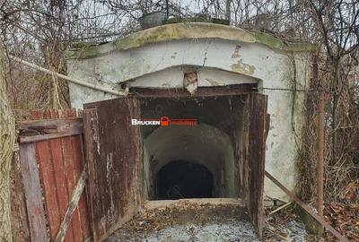 Casă cu Teren 9504 Mp în Poclușa de Barcău - 6