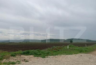 Teren intravilan, 41000 cu PUZ pentru hala, zona Alba-Sebes - 3