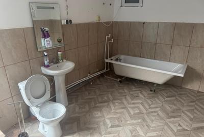 Tomesti - Osoi, vila cu spatiu comercial la parter , 2400mp teren cu iaz si pomi - 9