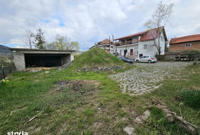 Casă cu Teren 1863 Mp în Baia de Fier - 6