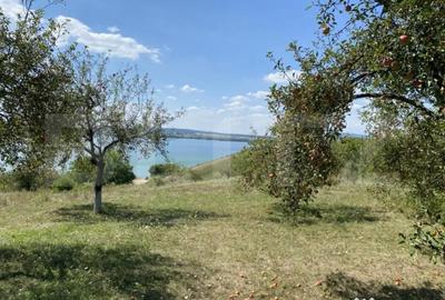 Teren de 3800 mp, în Recea - 4