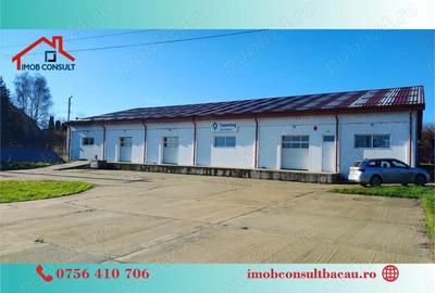 Spațiu comercial, de 1,000 mp, în Central - 1