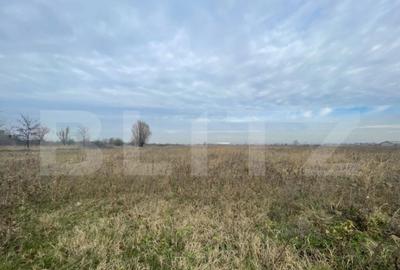 Teren extravilan agricol 5792 mp Popoveni - 3