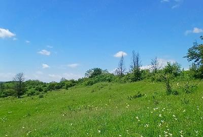 Teren de 10000 mp, în Valea Iașului - 2