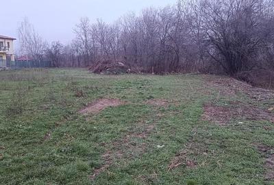 Teren intravilan (NEGOCIABIL) DE VÂNZARE Poiana Campina (jud Prahova) - 4
