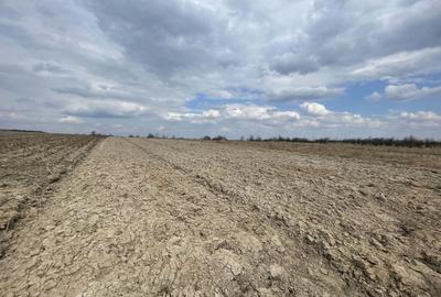 Teren agricol extravilan de 2300 mp, în Horodnic de Sus - 2