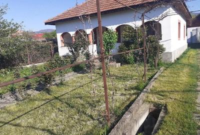 Casă cu 4 camere cu Teren 1200 Mp în Bâltișoara - 1