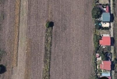 Teren Construcții intravilan de 4000 mp, în Belciugatele - 7