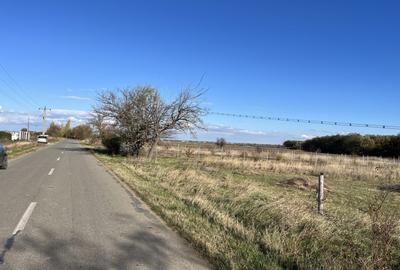 Teren Construcții extravilan de 1300 mp, în Bucovăț - 1