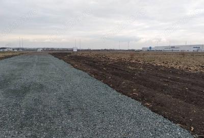 Teren de 4310 mp, în Ghiroda - 3