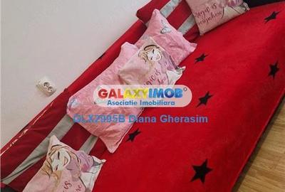 Apartament cu 2 camere decomandat, mobilat în Drumul Taberei - 3